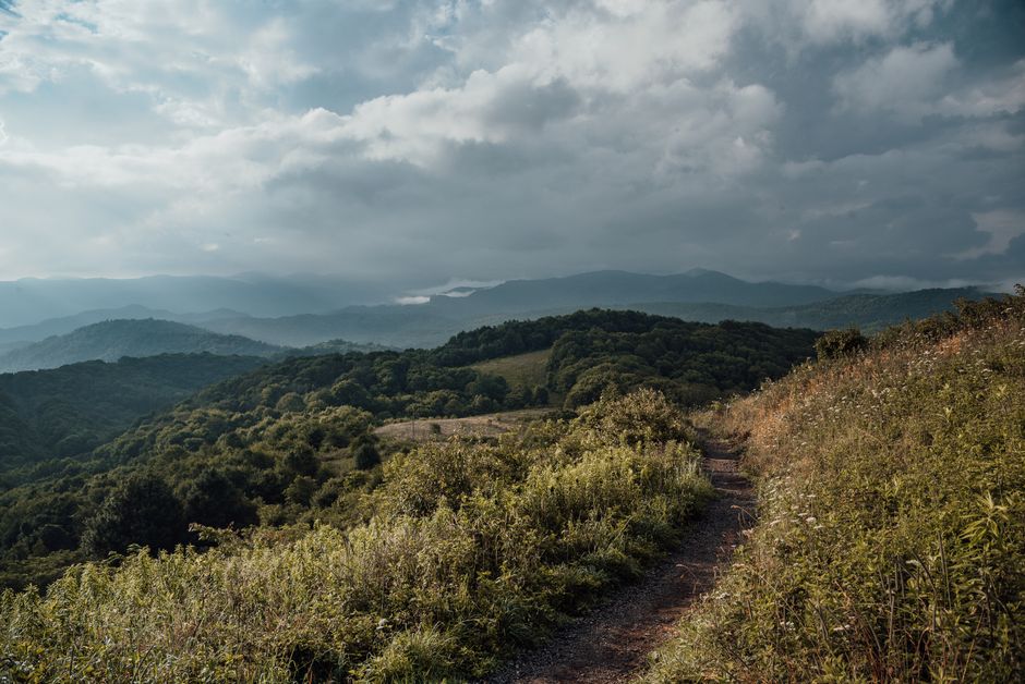 A tranquil mountain footpath surrounded by lush greenery under a cloudy sky.