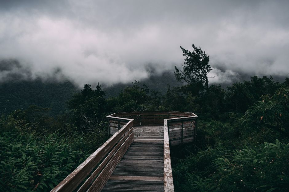 Discover a serene wooden viewpoint amidst misty clouds and lush green forest landscape, perfect for nature lovers.